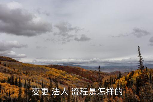 法人變更流程,有限責(zé)任公司法人變更流程