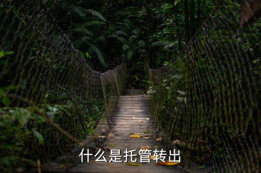 什么是托管轉(zhuǎn)出