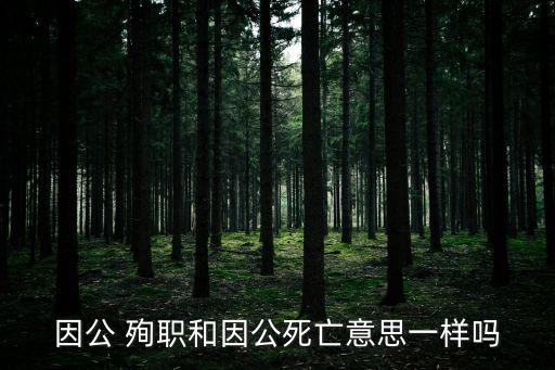 殉職是什么意思,殉職什么意思