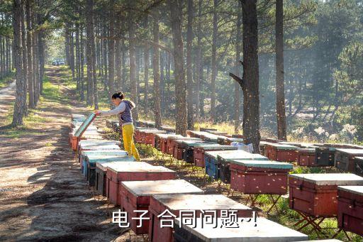 電子合同的法律性質(zhì)有哪些