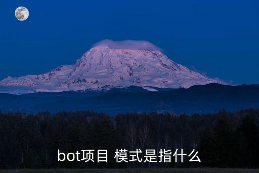 bot項目 模式是指什么