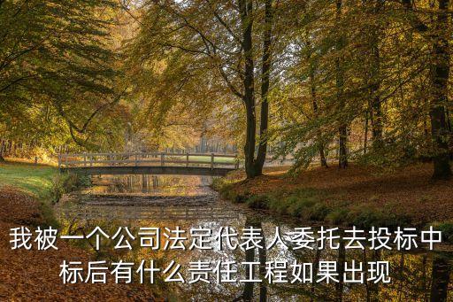 我被一個公司法定代表人委托去投標中標后有什么責任工程如果出現(xiàn)