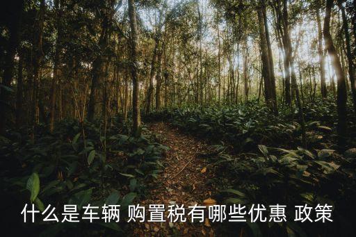 什么是車輛 購置稅有哪些優(yōu)惠 政策