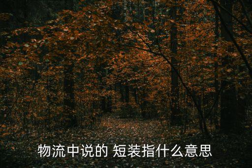 溢短裝