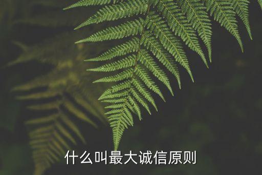 什么叫最大誠信原則