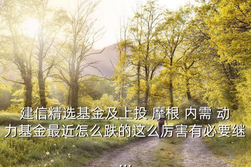 上投摩根內(nèi)需動力