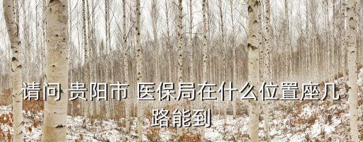 請問 貴陽市 醫(yī)保局在什么位置座幾路能到