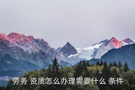 申請勞務(wù)資質(zhì)的條件,勞務(wù)資質(zhì)代辦一般多少錢