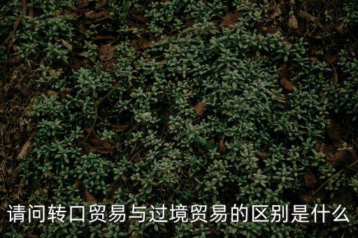 請問轉(zhuǎn)口貿(mào)易與過境貿(mào)易的區(qū)別是什么