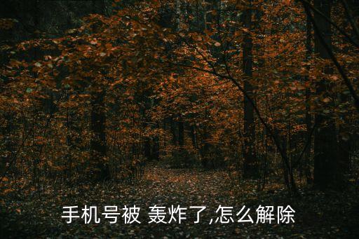 轟炸電話