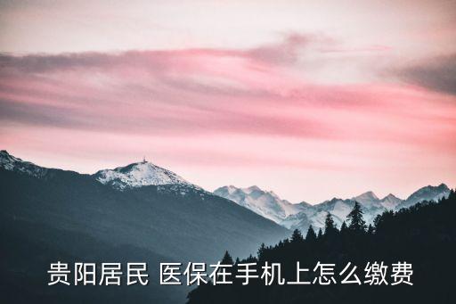 貴陽醫(yī)保