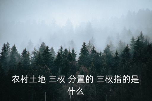 農(nóng)村土地 三權(quán) 分置的 三權(quán)指的是什么