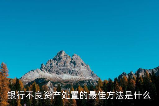 銀行不良資產(chǎn)，銀行不良資產(chǎn)處置的最佳方法是什么