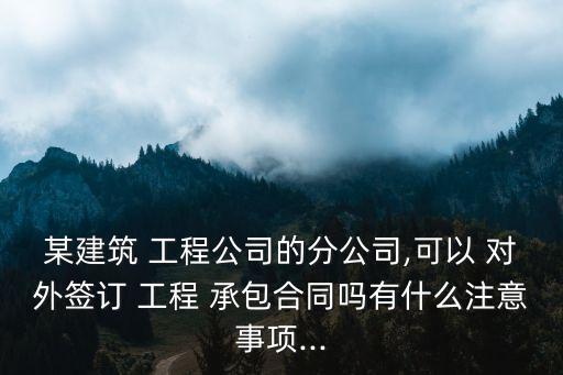 對外承包工程