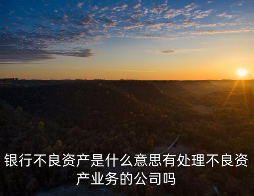 銀行不良資產(chǎn)是什么意思有處理不良資產(chǎn)業(yè)務的公司嗎