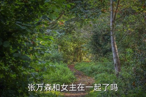 張萬森和女主在一起了嗎