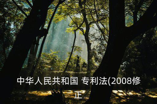 中華人民共和國(guó) 專(zhuān)利法(2008修正