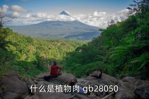 gb28050