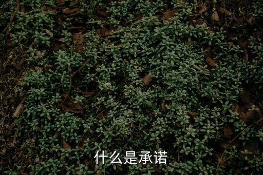 承諾是什么意思，什么是承諾