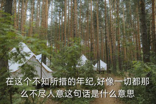 人意