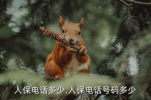 中國人保電話多少,人保電話號(hào)碼多少