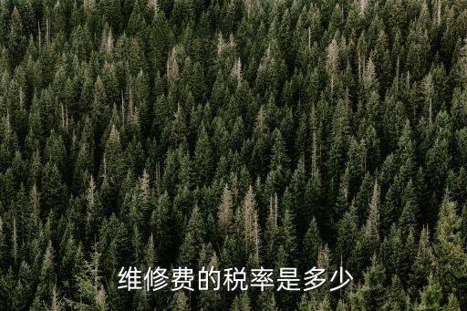維修費