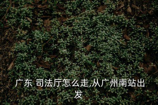  廣東 司法廳怎么走,從廣州南站出發(fā)