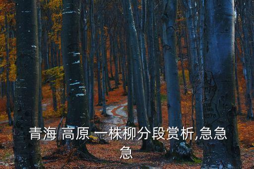  青海 高原 一株柳分段賞析,急急急