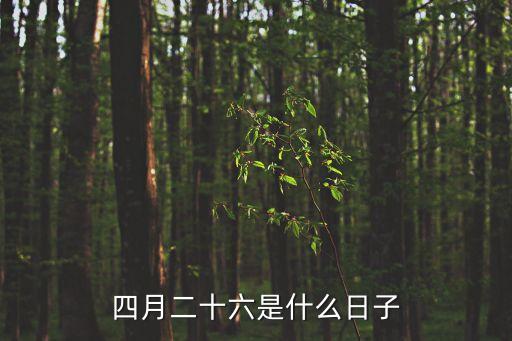 知識產(chǎn)權(quán)日,2023年世界知識產(chǎn)權(quán)日