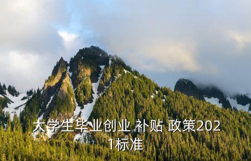 大學(xué)生注冊(cè)公司補(bǔ)貼政策,國家免息創(chuàng)業(yè)貸款15萬