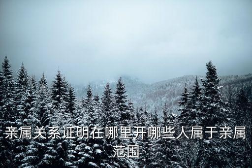 親屬關(guān)系證明在哪里開哪些人屬于親屬范圍
