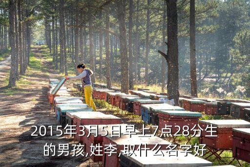 李曉曦