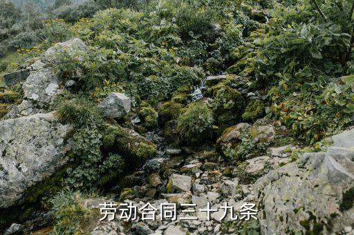 解除勞動(dòng)合同法第39條,患病員工解除勞動(dòng)合同法規(guī)定