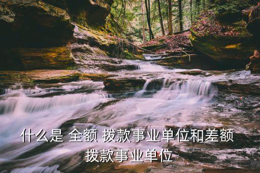 什么是 全額 撥款事業(yè)單位和差額 撥款事業(yè)單位