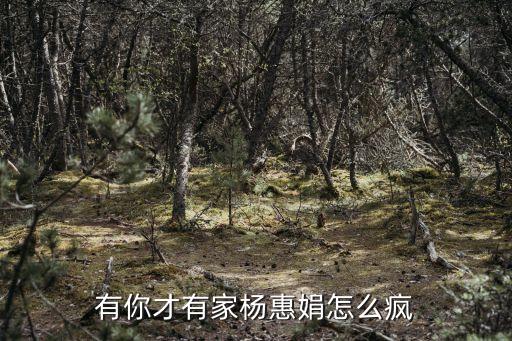 周振宇