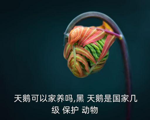 天鵝是保護(hù)動(dòng)物嗎,殺了一只天鵝判刑多久