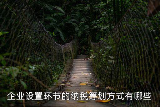 企業(yè)設(shè)置環(huán)節(jié)的納稅籌劃方式有哪些