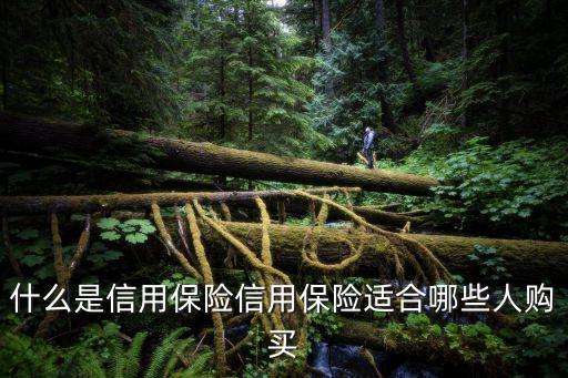 什么是信用保險(xiǎn)信用保險(xiǎn)適合哪些人購(gòu)買(mǎi)