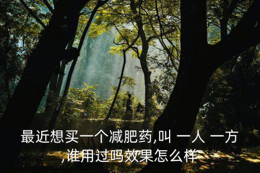 一人一方