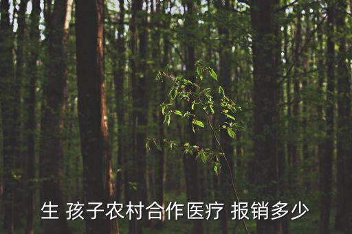 生孩子報銷