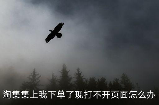 淘集集上我下單了現(xiàn)打不開頁(yè)面怎么辦