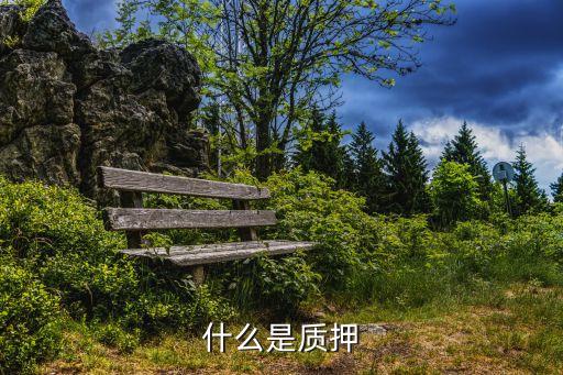 什么是質(zhì)押
