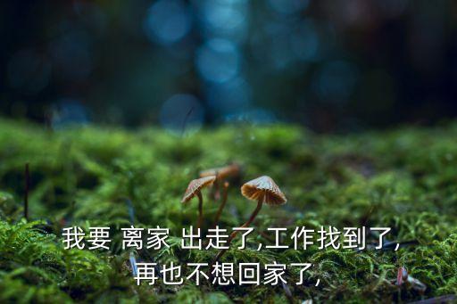  我要 離家 出走了,工作找到了,再也不想回家了,
