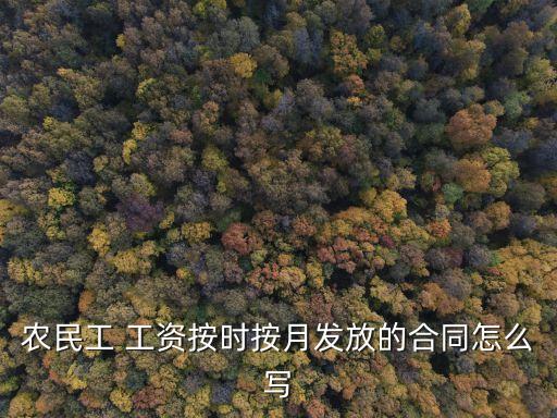 農(nóng)民工 工資按時(shí)按月發(fā)放的合同怎么寫