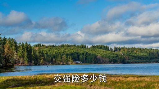 汽車交強(qiáng)險(xiǎn)收費(fèi)標(biāo)準(zhǔn),新能源汽車交強(qiáng)險(xiǎn)收費(fèi)標(biāo)準(zhǔn)