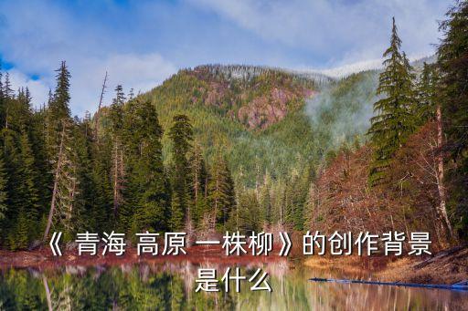 《 青海 高原 一株柳》的創(chuàng)作背景是什么