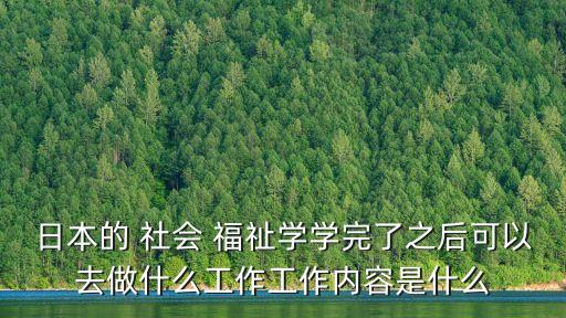 社會(huì)福祉,日本社會(huì)福祉