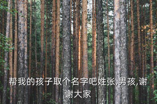 幫我的孩子取個(gè)名字吧姓張,男孩,謝謝大家