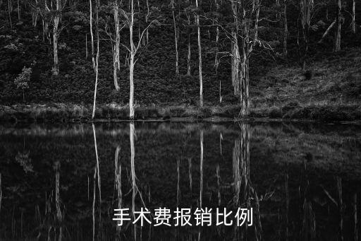  手術費報銷比例