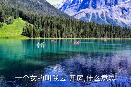 一個女的叫我去 開房,什么意思